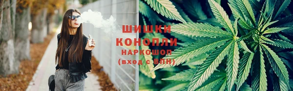 гидропоника Мегион