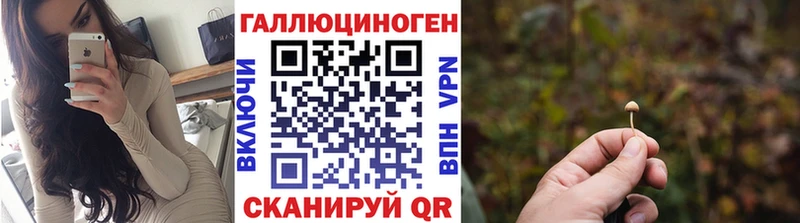 сколько стоит  Сочи  Псилоцибиновые грибы Psilocybine cubensis 